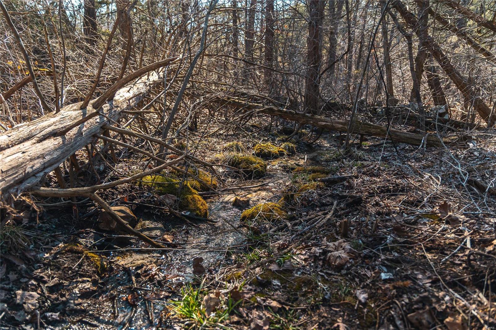 0 65 Acres M/l Dalton Road Licking, MO 65542 - Photo 24 of 30