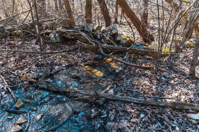 $227,500 | 0 65 Acres M/l Dalton Road, Licking, MO 65542