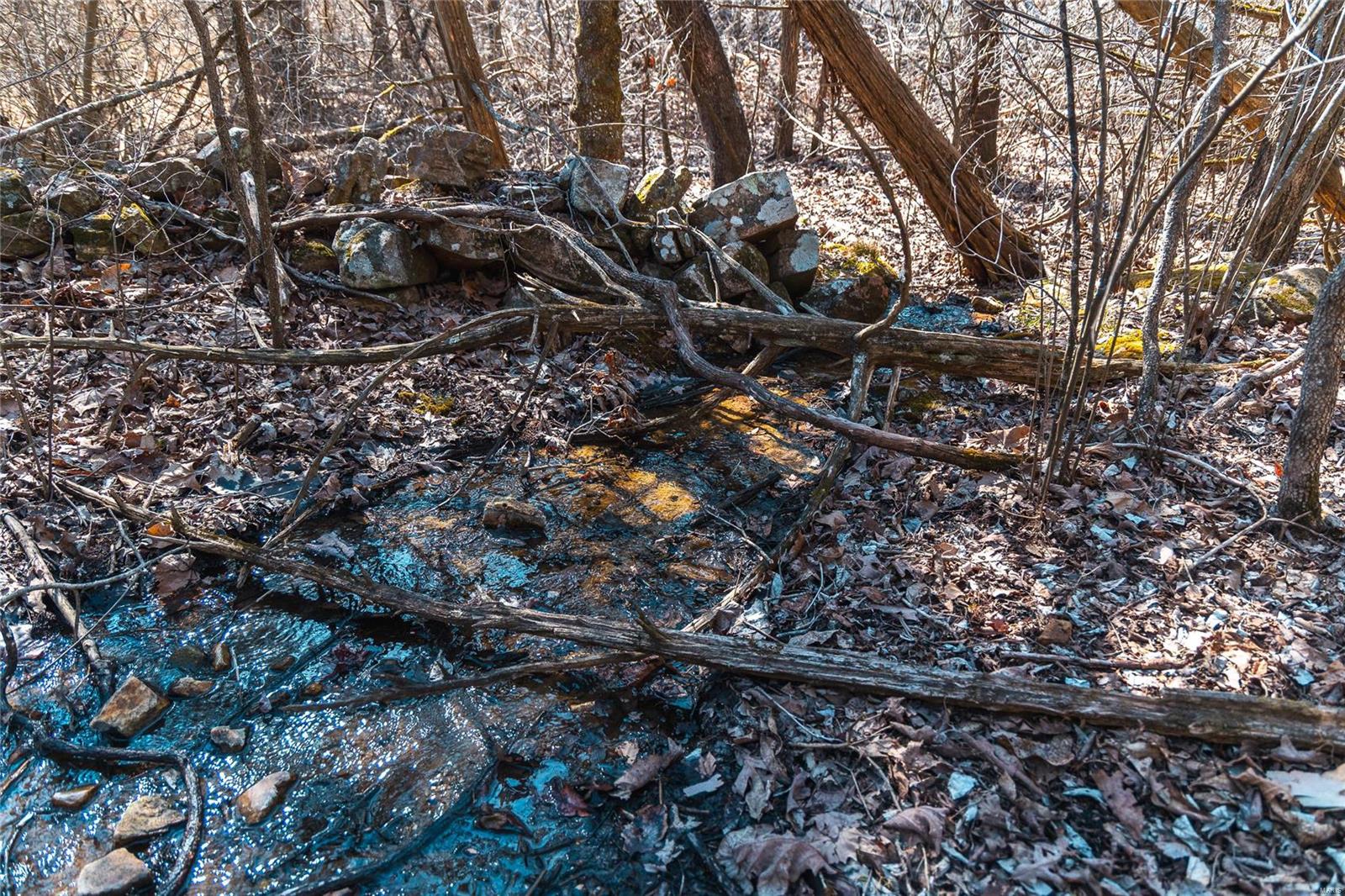 0 65 Acres M/l Dalton Road Licking, MO 65542 - Photo 25 of 30