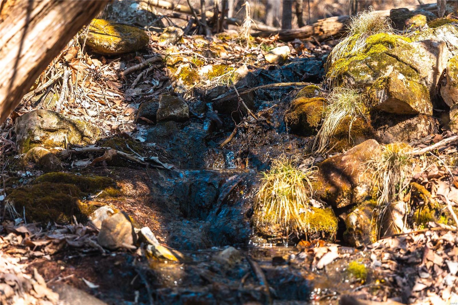 0 65 Acres M/l Dalton Road Licking, MO 65542 - Photo 26 of 30