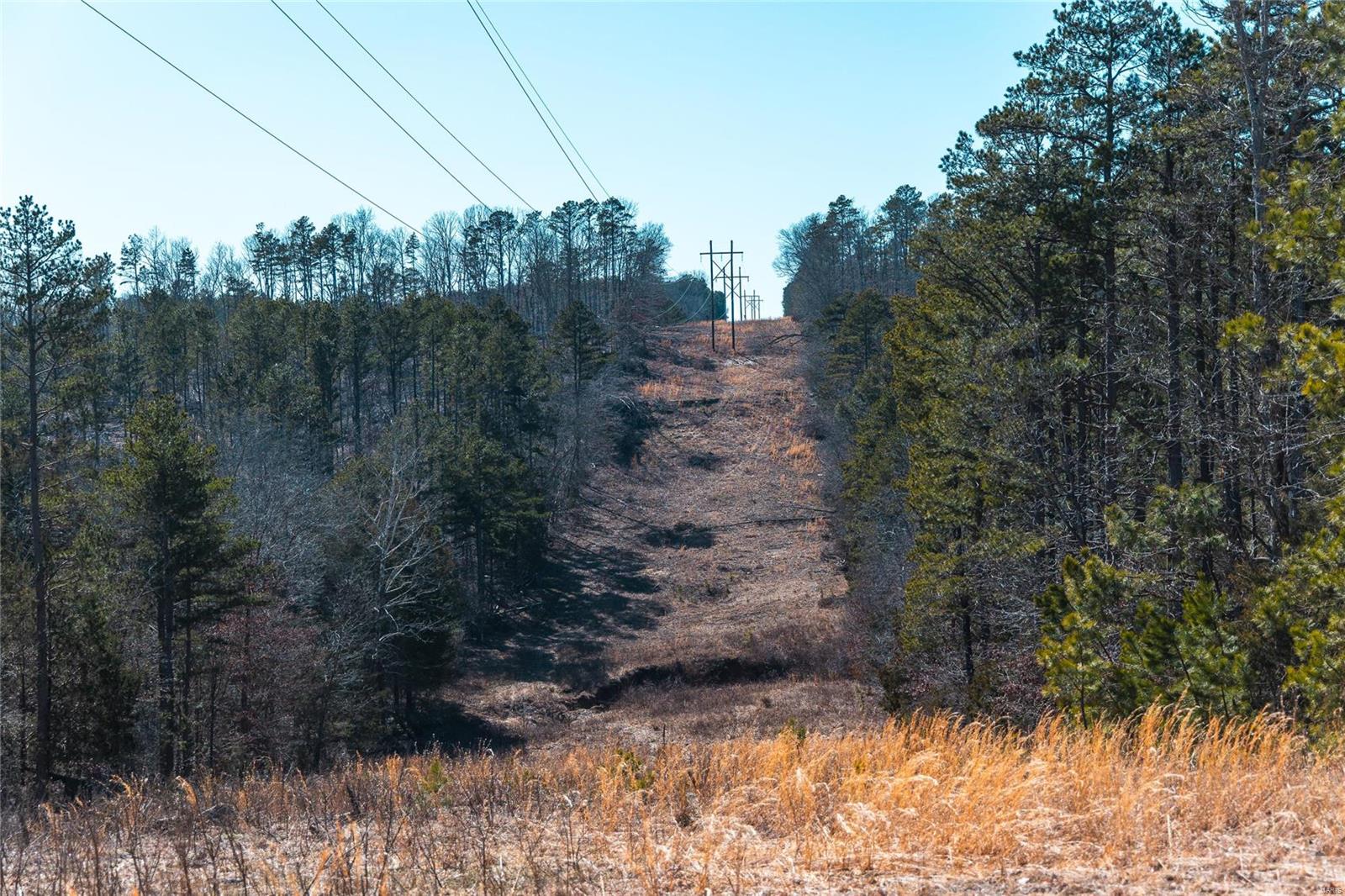 0 65 Acres M/l Dalton Road Licking, MO 65542 - Photo 27 of 30