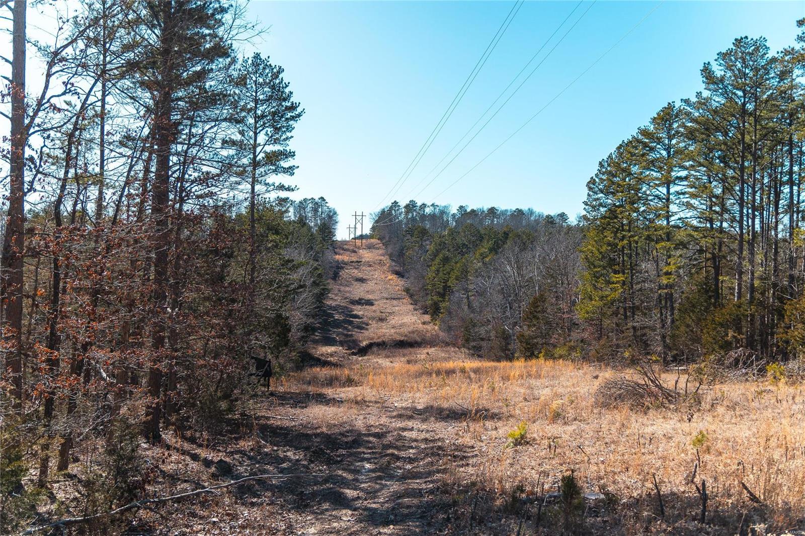 0 65 Acres M/l Dalton Road Licking, MO 65542 - Photo 28 of 30