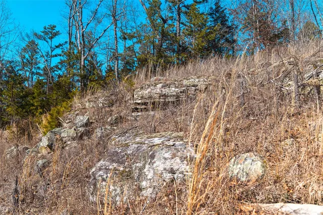 $227,500 | 0 65 Acres M/l Dalton Road, Licking, MO 65542