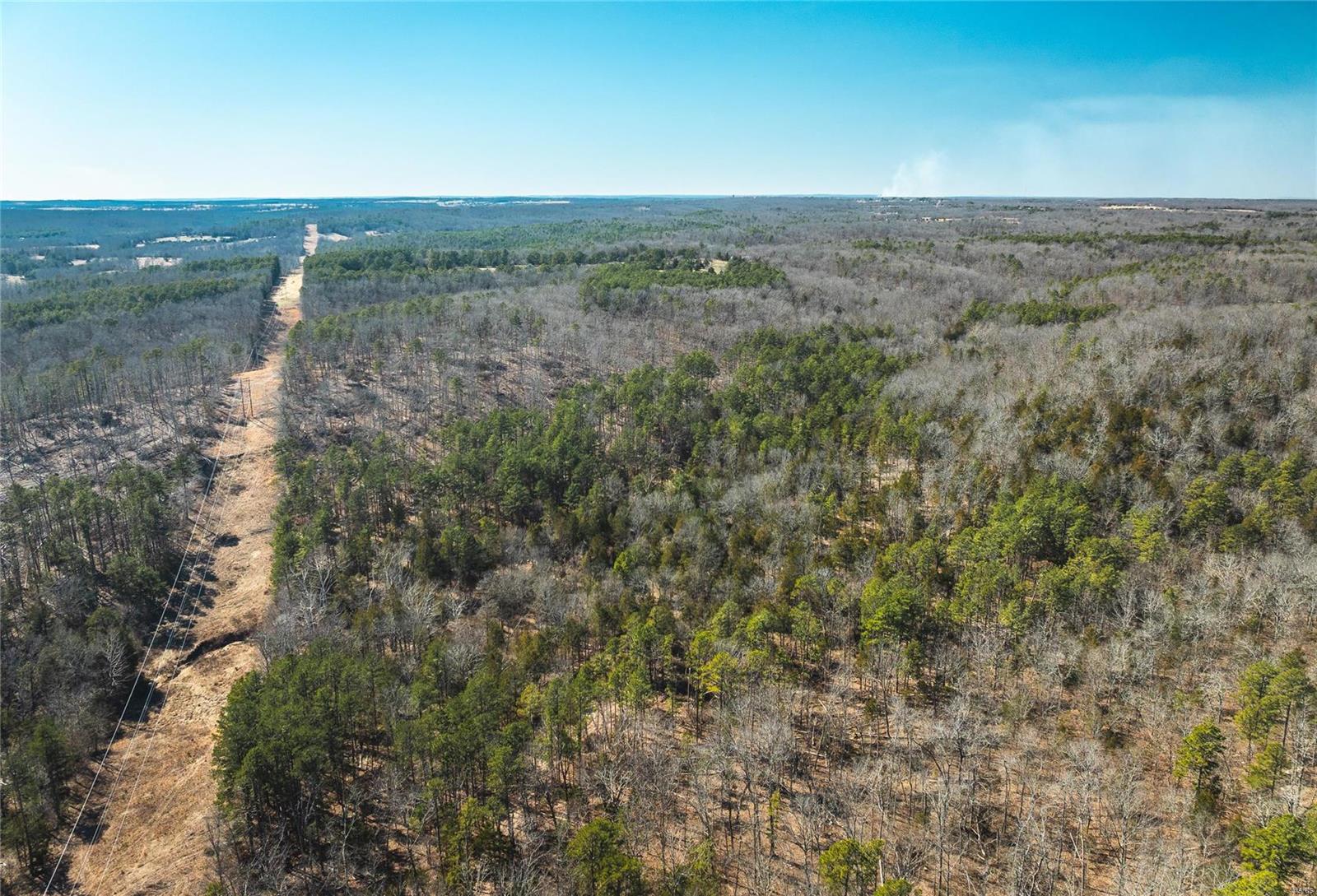 0 65 Acres M/l Dalton Road Licking, MO 65542 - Photo 5 of 30