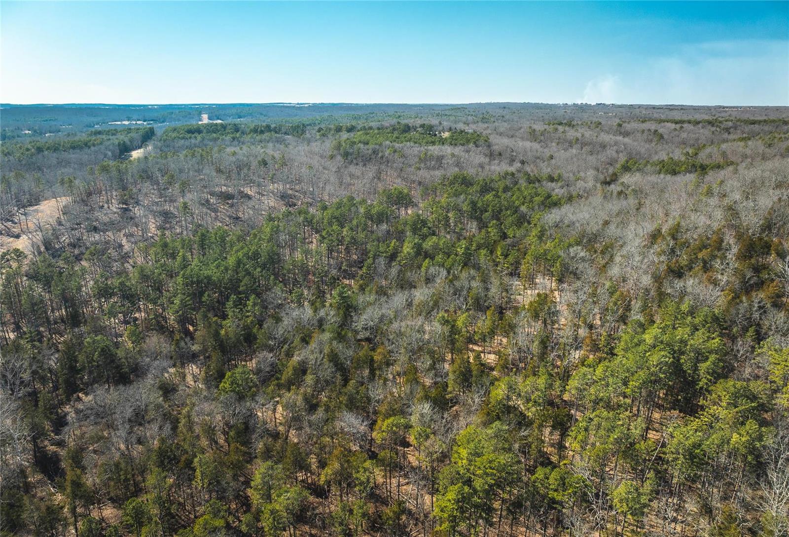 0 65 Acres M/l Dalton Road Licking, MO 65542 - Photo 6 of 30