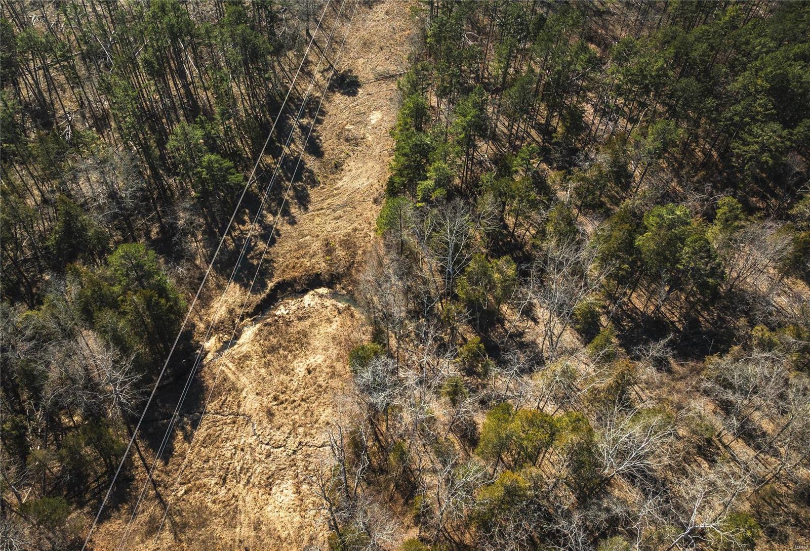 0 65 Acres M/l Dalton Road Licking, MO 65542 - Photo 8 of 30