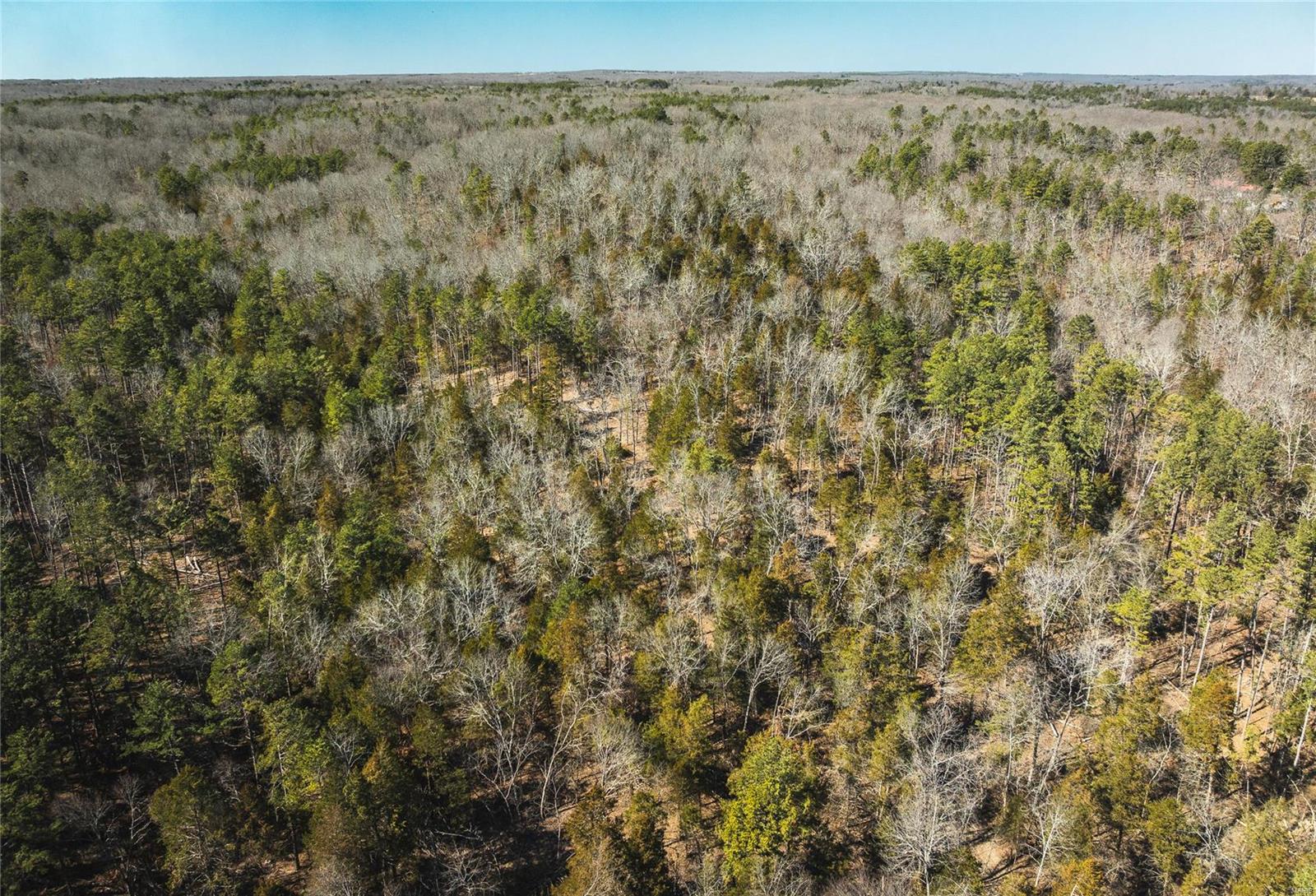 0 65 Acres M/l Dalton Road Licking, MO 65542 - Photo 9 of 30