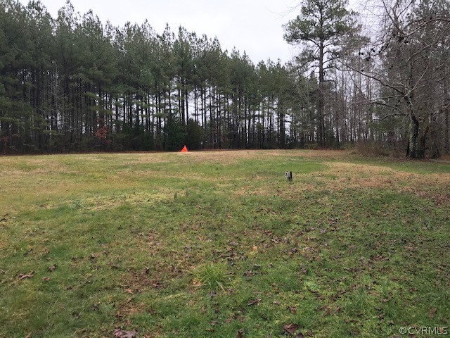 7867 Old Stage Road Dolphin, VA 23843 - Photo 16 of 19 a view of yard with tree and wooden fence