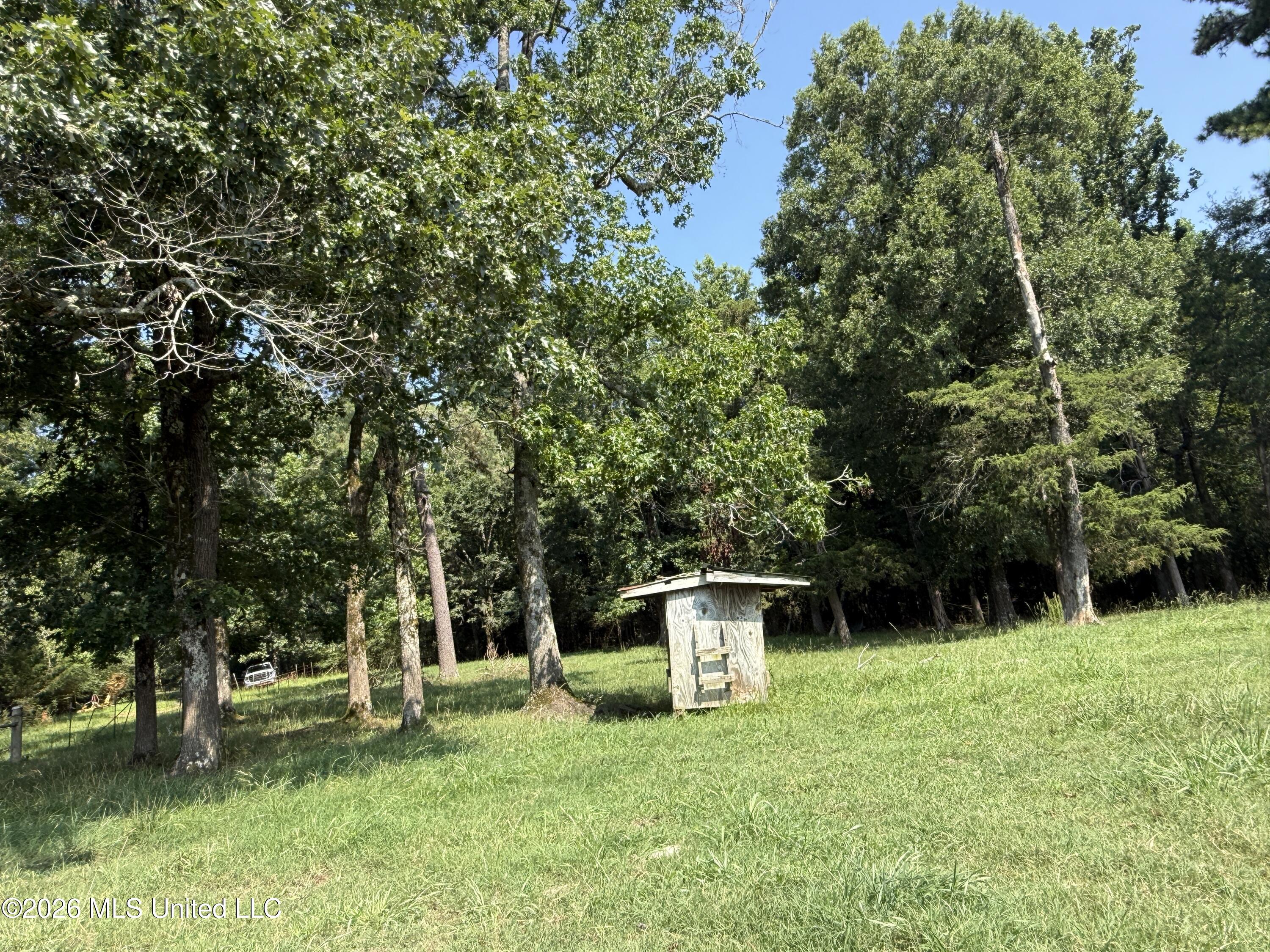 Monte Vista Road Eupora, MS 39744 - Photo 5 of 54 4