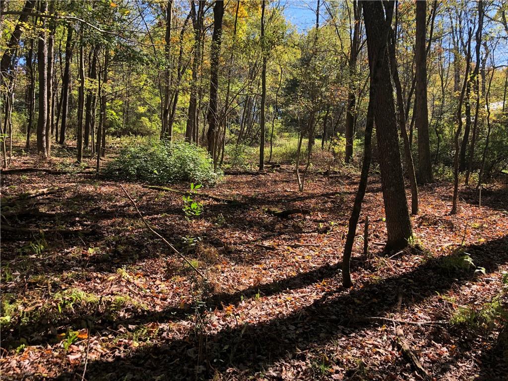 208 Chestnut Lane Chalk Hill, PA 15421 - Photo 3 of 40 a view of a forest with trees