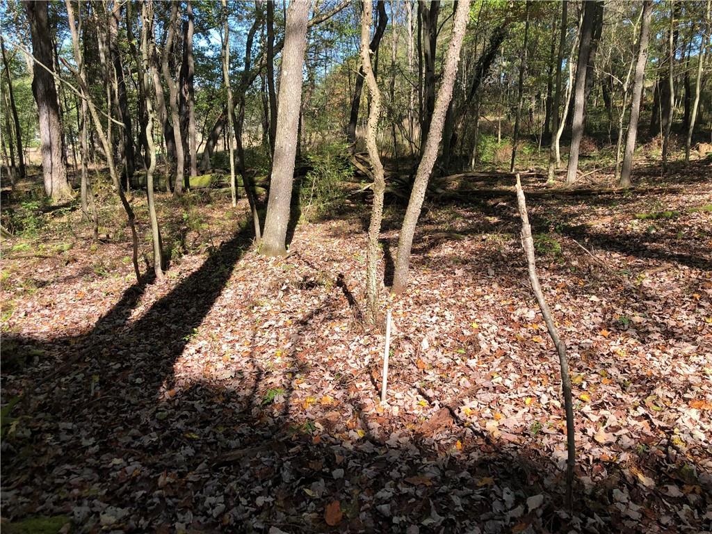 208 Chestnut Lane Chalk Hill, PA 15421 - Photo 38 of 40