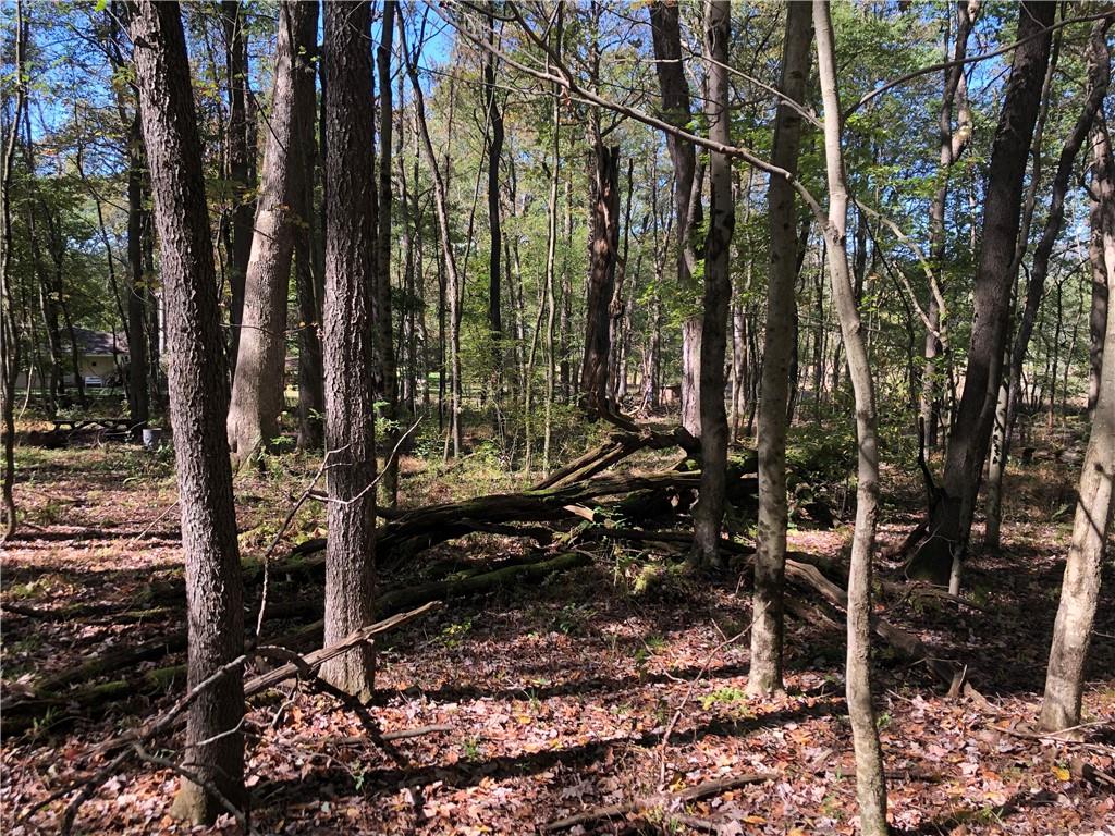 208 Chestnut Lane Chalk Hill, PA 15421 - Photo 39 of 40 a view of a forest with sitting area