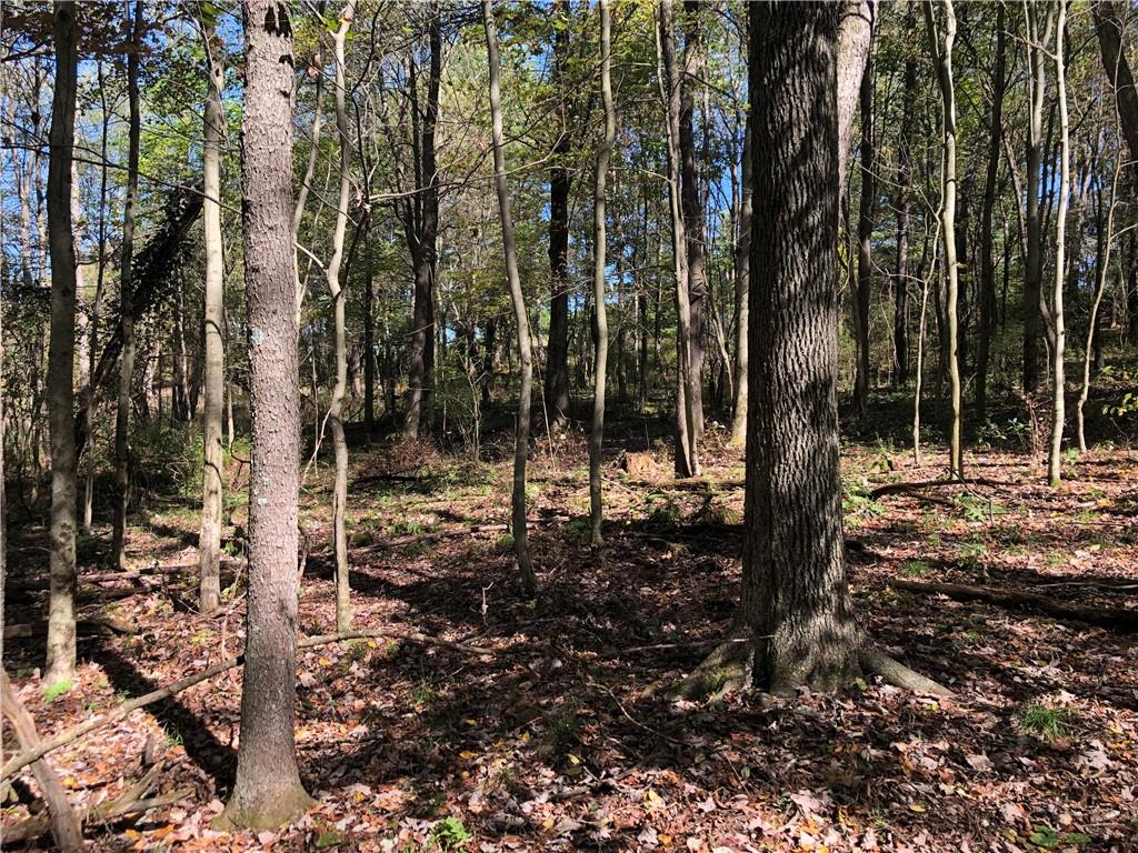 208 Chestnut Lane Chalk Hill, PA 15421 - Photo 5 of 40 a view of a forest filled with trees