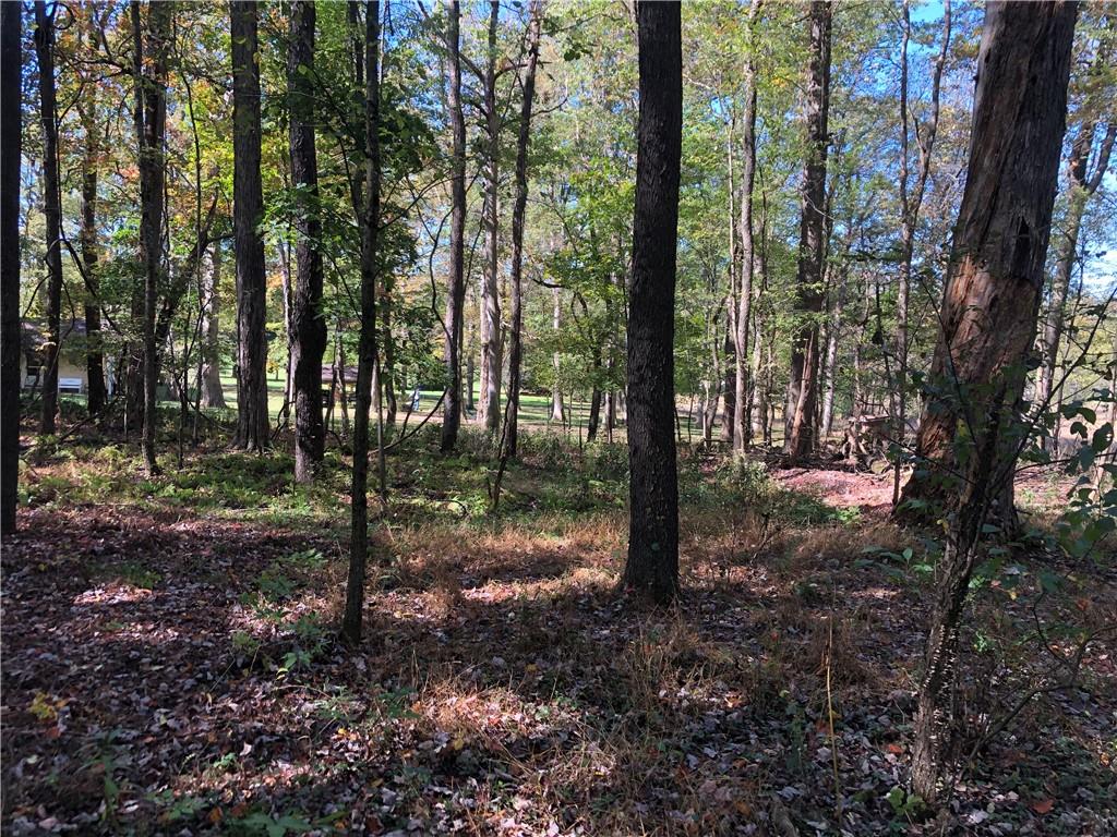 208 Chestnut Lane Chalk Hill, PA 15421 - Photo 6 of 40 a view of outdoor space with lots of trees