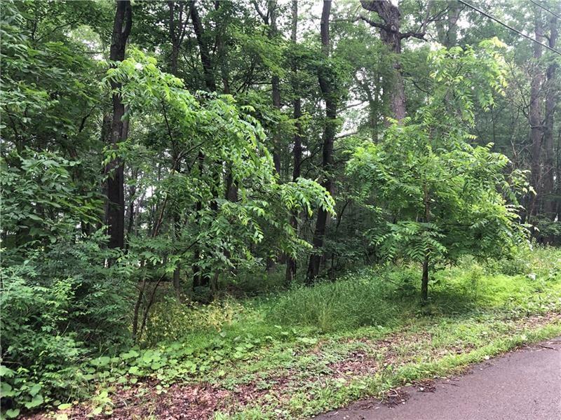 208 Chestnut Lane Chalk Hill, PA 15421 - Photo 8 of 40 a lush green forest with lots of trees