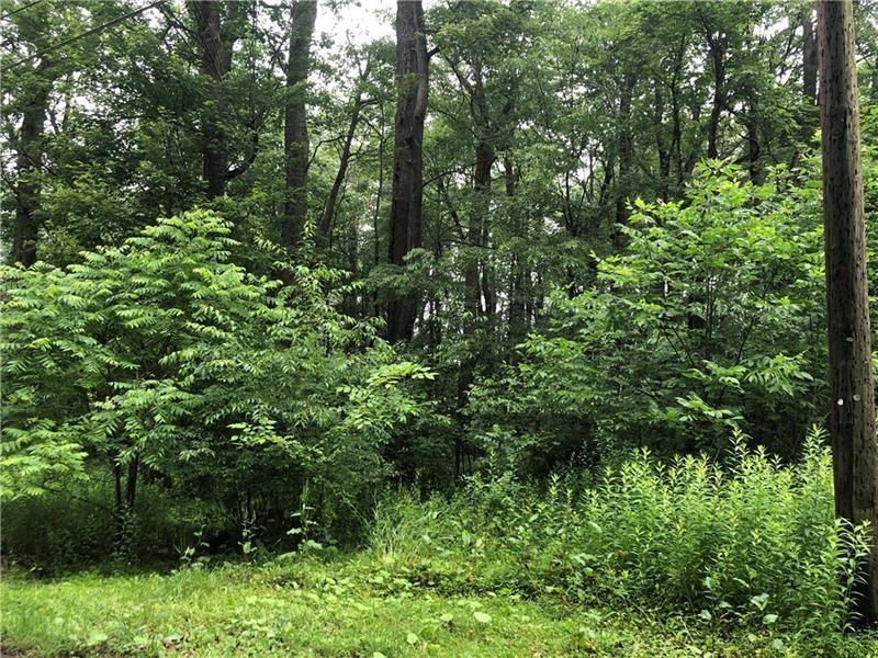 208 Chestnut Lane Chalk Hill, PA 15421 - Photo 9 of 40 a view of a lush green forest