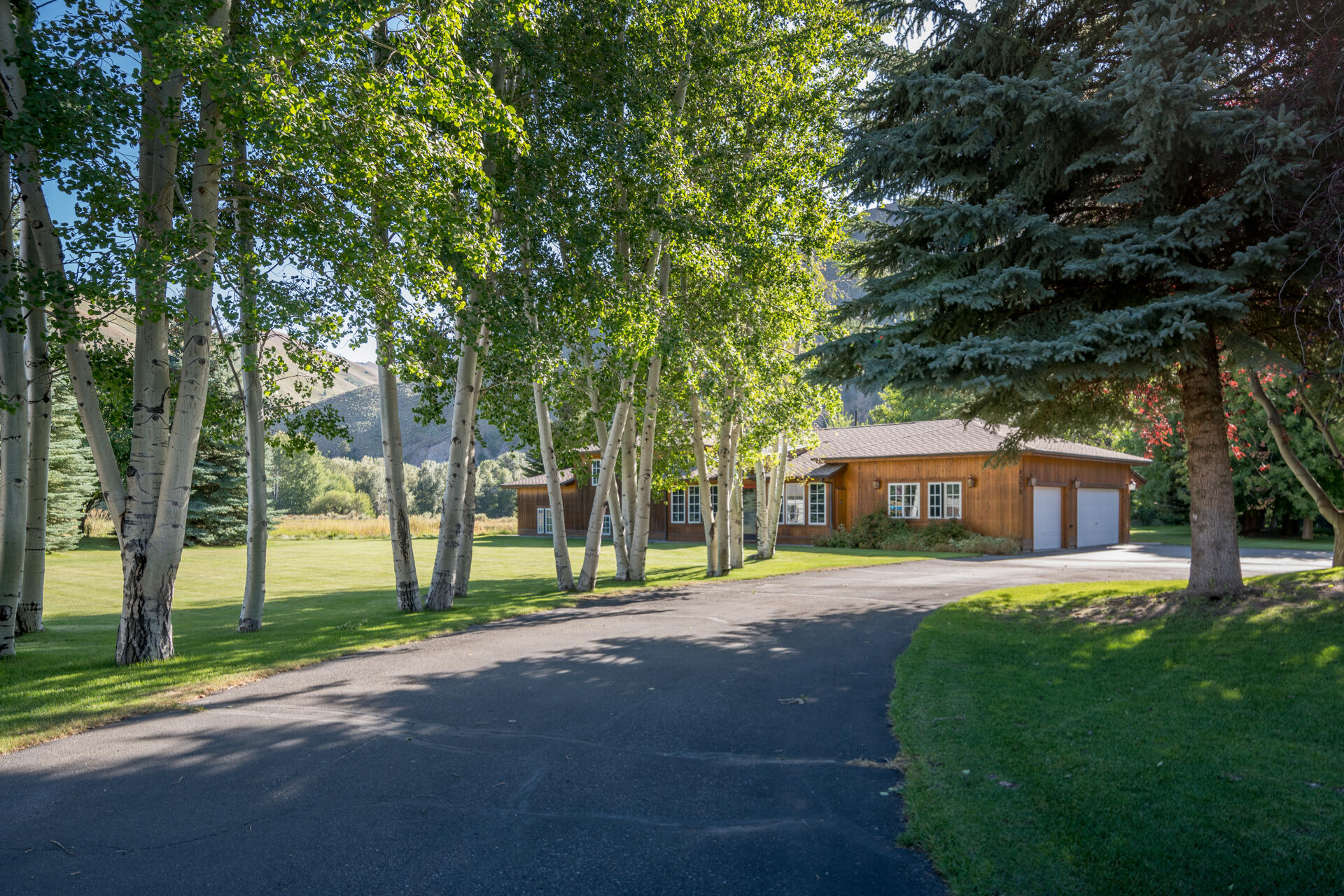 1371 Silver Star Drive Hailey, ID 83333 - Photo 34 of 37 Tree lined Driveway