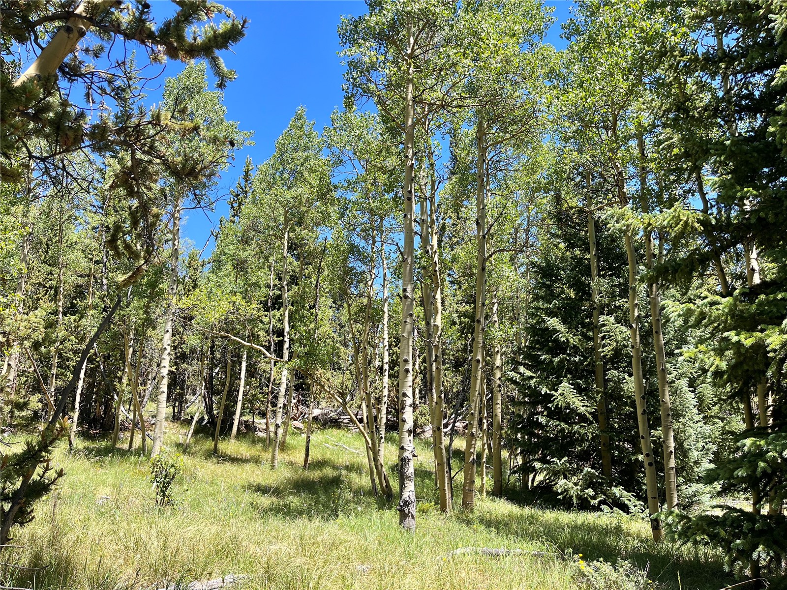 845 Adventure Road Alma, CO 80420 - Photo 10 of 31 Gallery Image 10