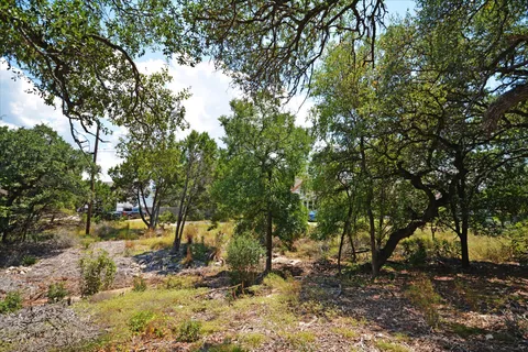 a view of outdoor space and trees