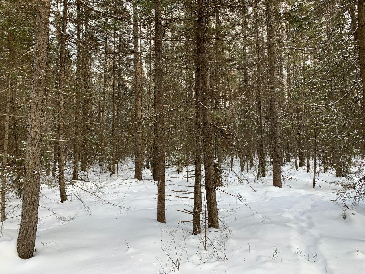 On Kurtz Road Rhinelander, WI 54501 - Photo 8 of 10 Gallery Image 8