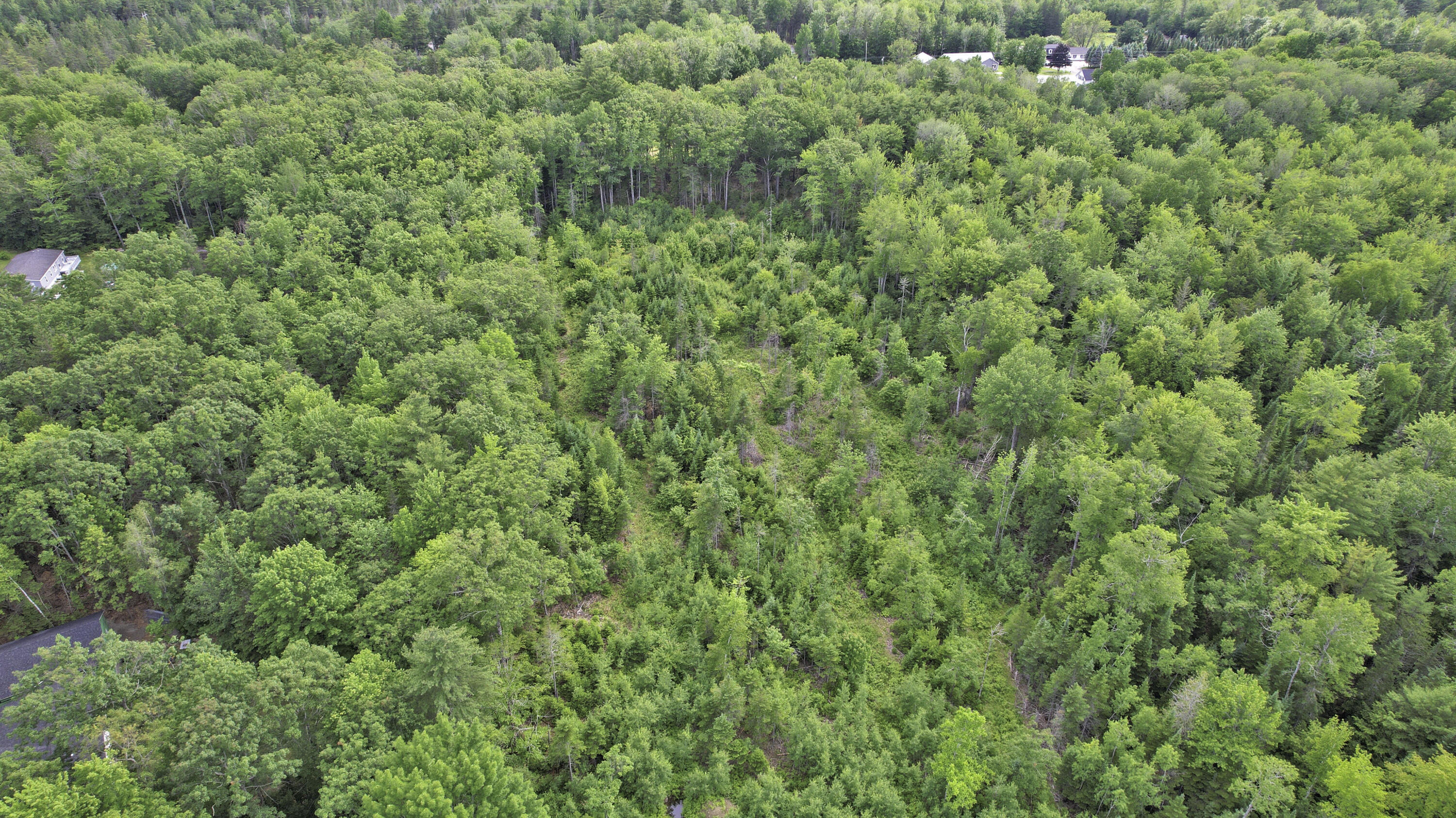 0 Rocky Ledge Road Eddington, ME 04428 - Photo 3 of 12 dji_fly_20230620_161242_575_168729242823