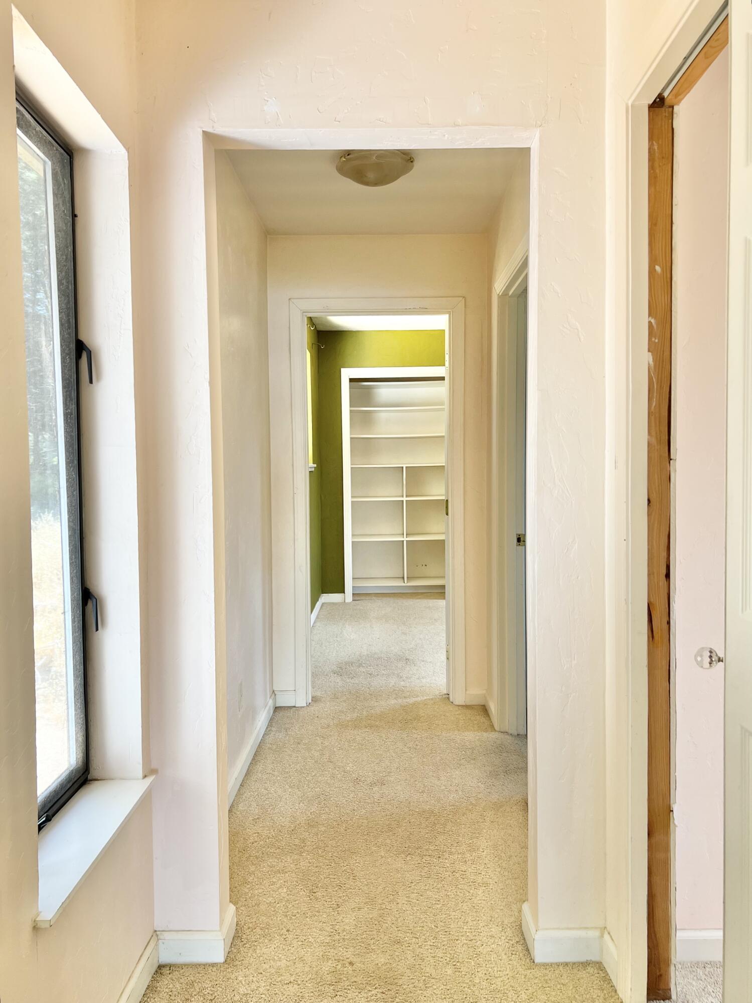 955 Spring Road Whitethorn, CA 95589 - Photo 11 of 74