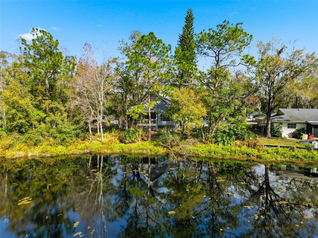 18324 Jorene Road Odessa, FL 33556 - Photo 2 of 85