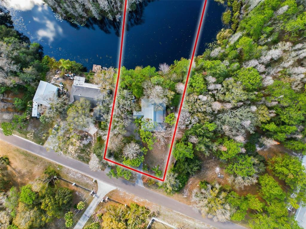 18324 Jorene Road Odessa, FL 33556 - Photo 3 of 85