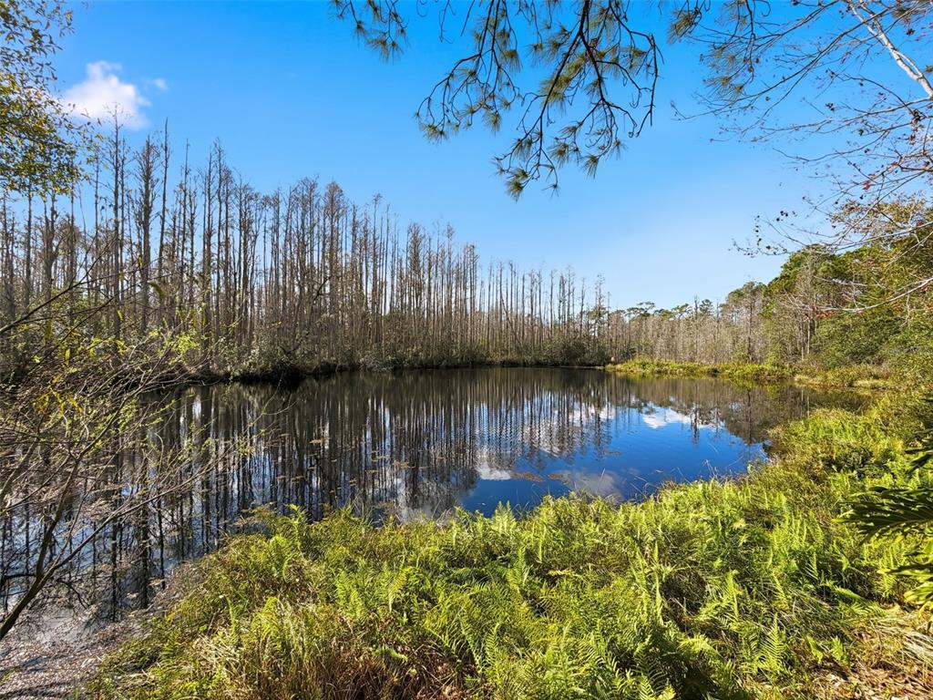 18324 Jorene Road Odessa, FL 33556 - Photo 62 of 85