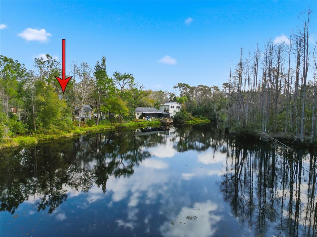 18324 Jorene Road Odessa, FL 33556 - Photo 64 of 85