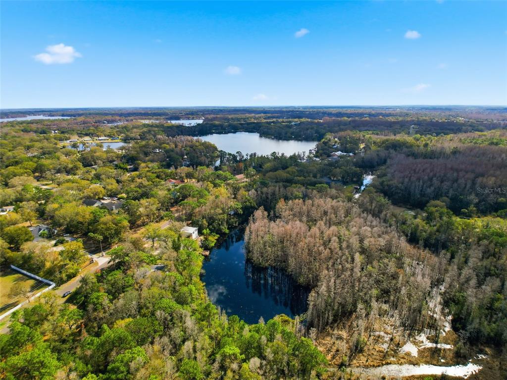 18324 Jorene Road Odessa, FL 33556 - Photo 66 of 85