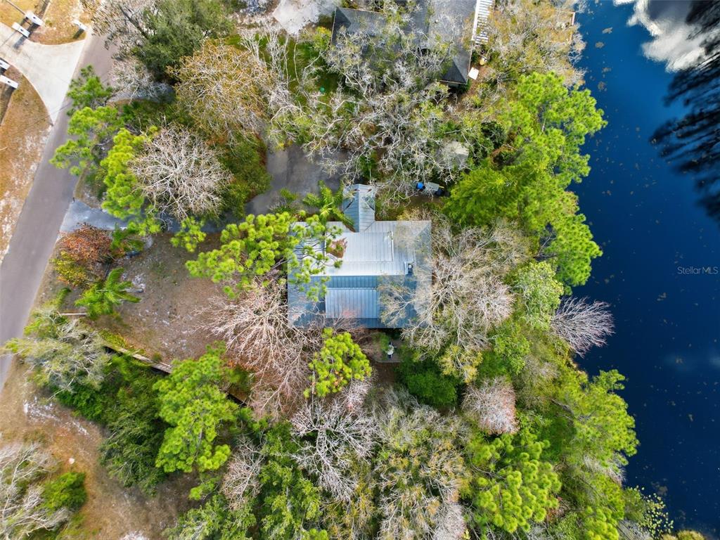 18324 Jorene Road Odessa, FL 33556 - Photo 68 of 85