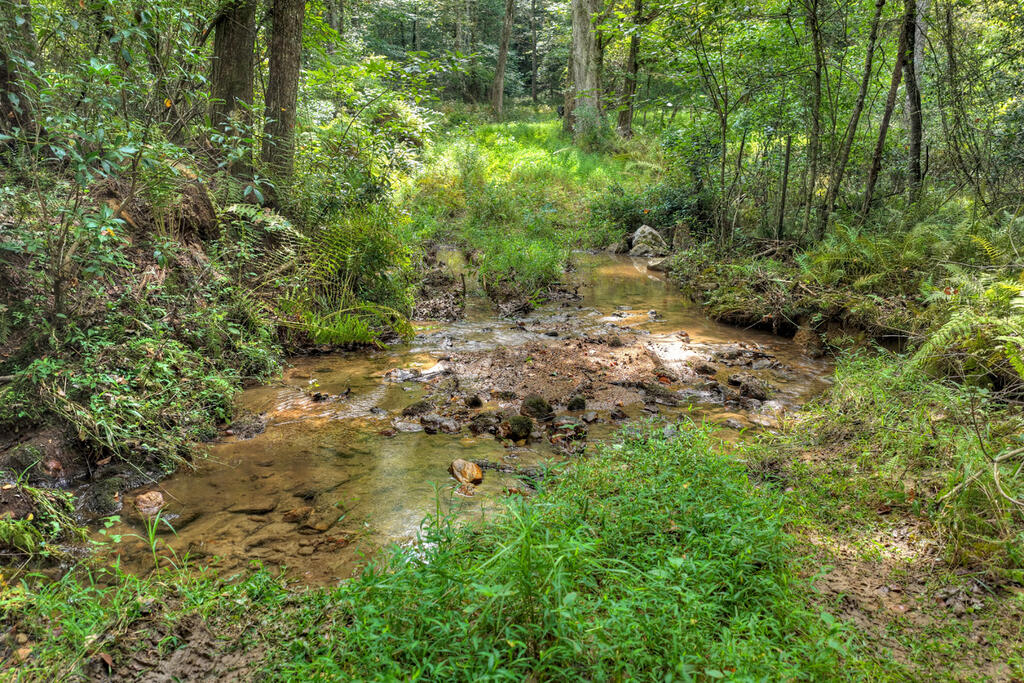 4.70-ac Chestnut Gap Lane Blue Ridge, GA 30513 - Photo 25 of 28 Gallery Image 25