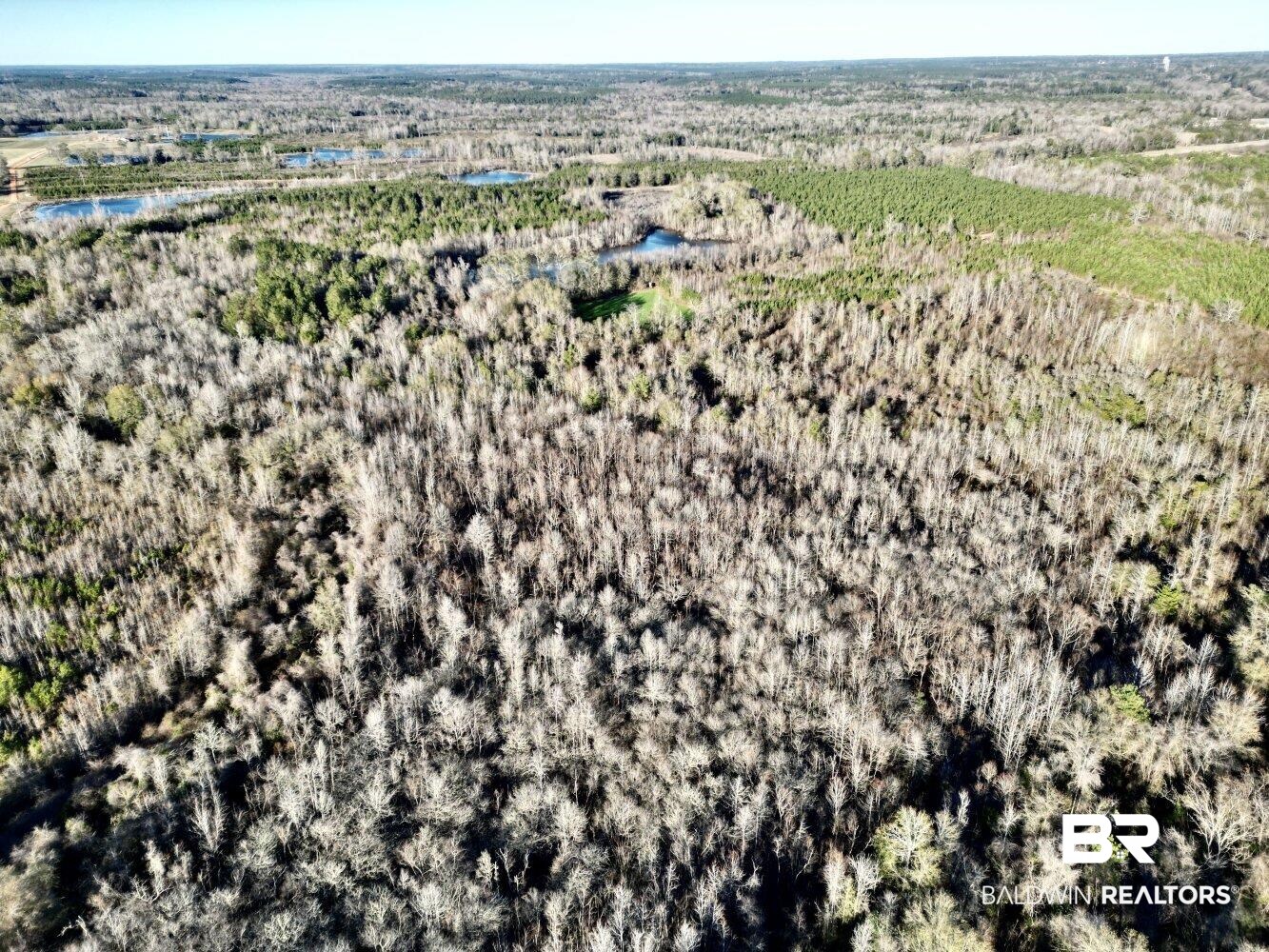 0 Highway 84 Evergreen, AL 36401 - Photo 3 of 50