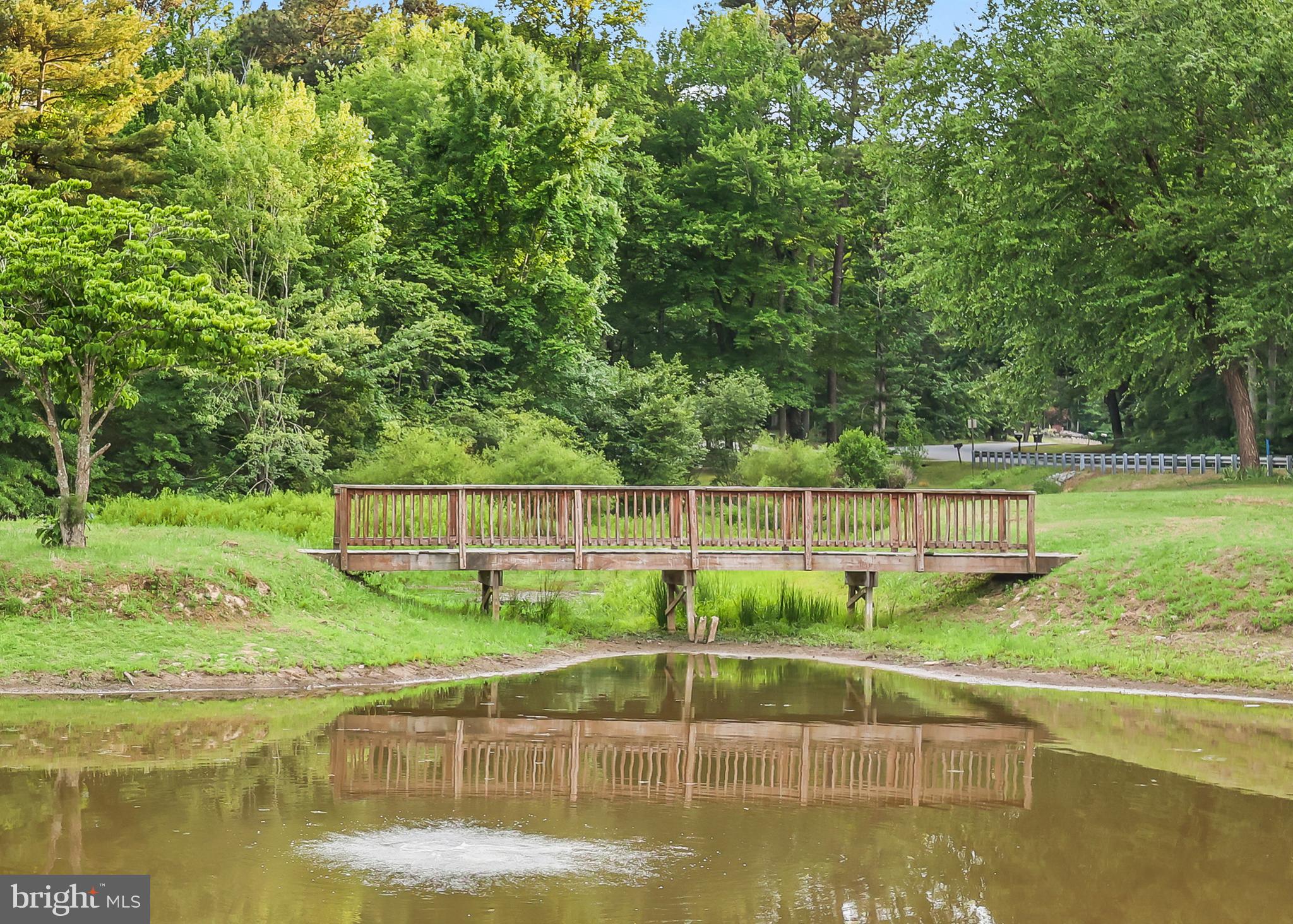209 Estate Drive Ruther Glen, VA 22546 - Photo 47 of 53