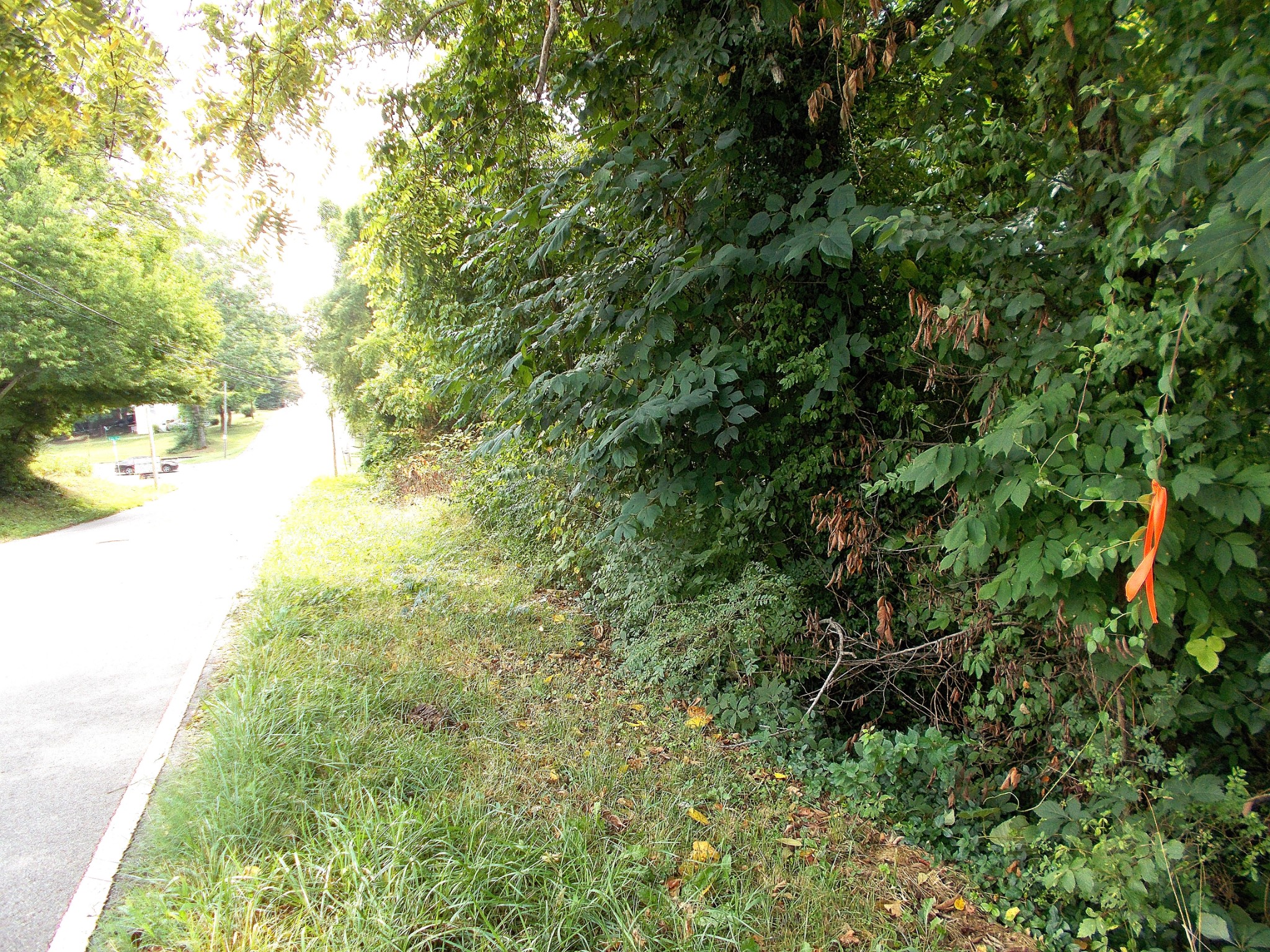 0 West Walnut Street Dickson, TN 37055 - Photo 2 of 9 a view of a garden