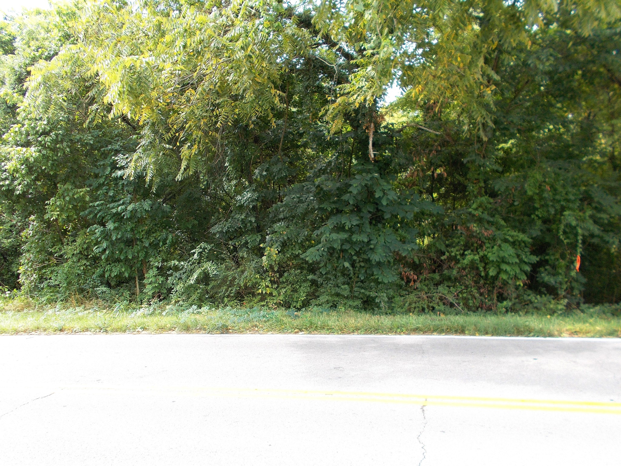 0 West Walnut Street Dickson, TN 37055 - Photo 5 of 9 a picture of a tree