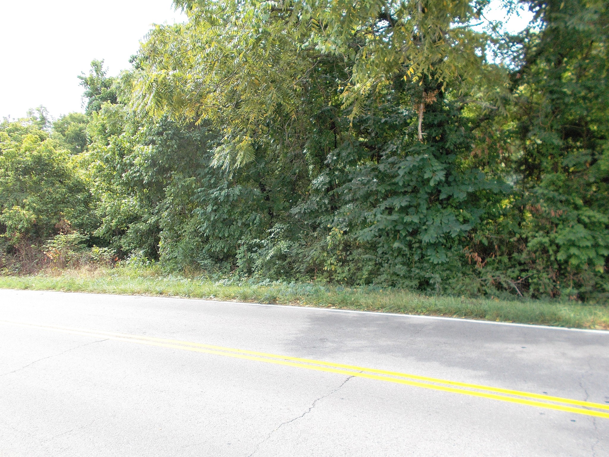 0 West Walnut Street Dickson, TN 37055 - Photo 6 of 9 a view of a yard with a small car