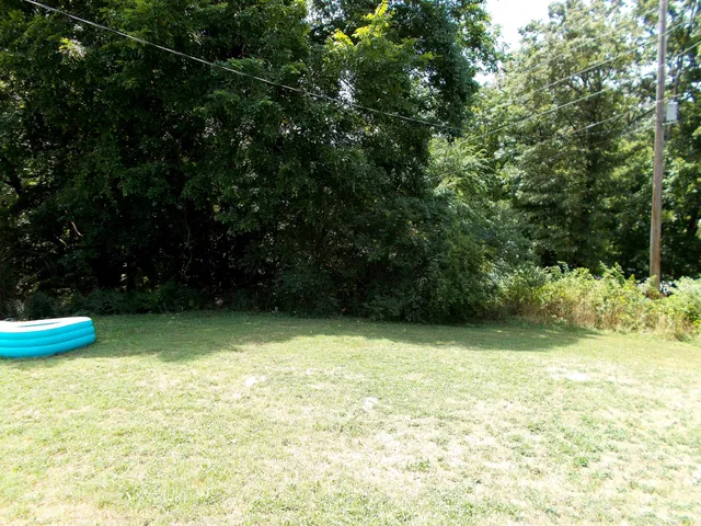 a view of outdoor space and yard