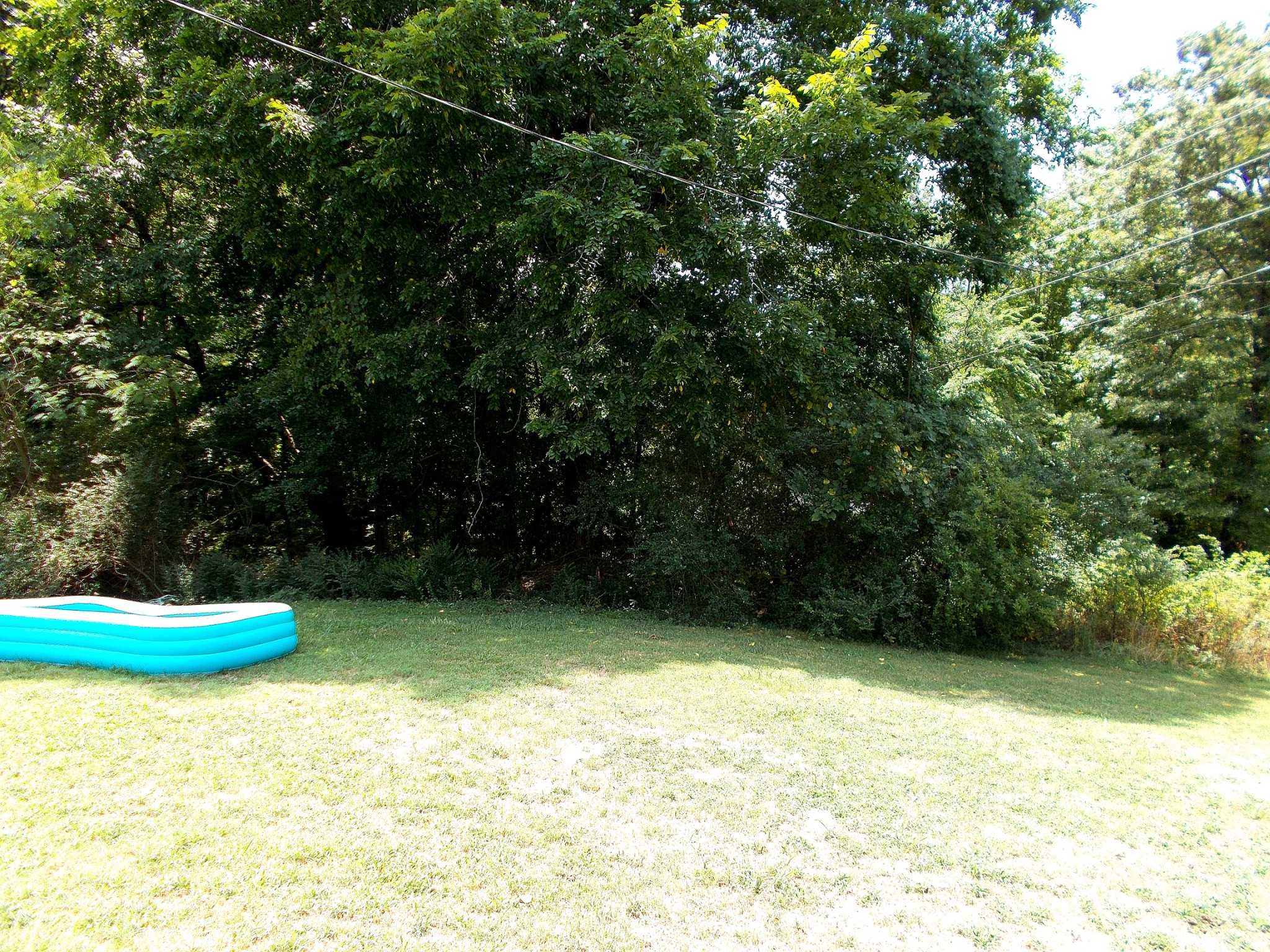 0 West Walnut Street Dickson, TN 37055 - Photo 8 of 9 a view of a backyard of a house