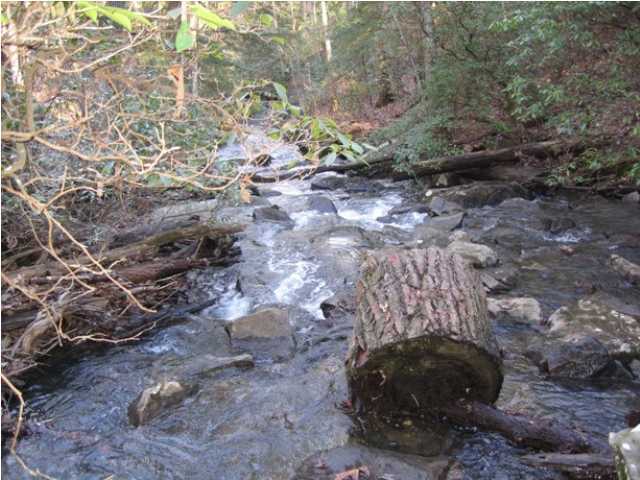 0 Corral Road, Unit LOT 1 Signal Mountain, TN 37377 - Photo 3 of 9 Additional Photo