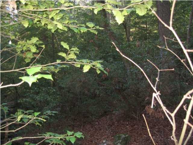 0 Corral Road, Unit LOT 1 Signal Mountain, TN 37377 - Photo 4 of 9 Additional Photo