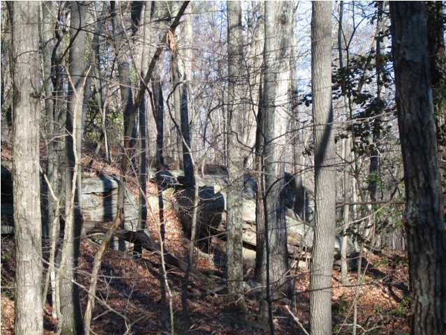 0 Corral Road, Unit LOT 1 Signal Mountain, TN 37377 - Photo 5 of 9 Additional Photo