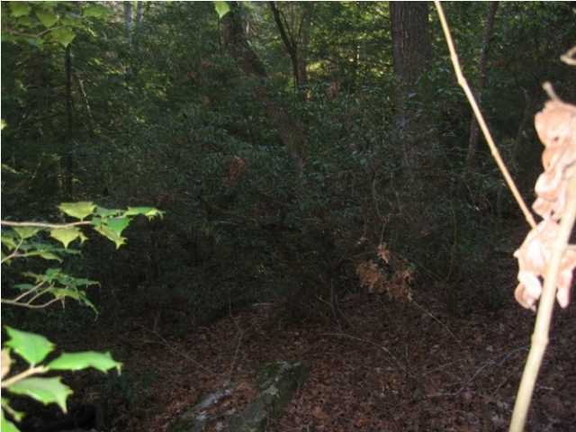0 Corral Road, Unit LOT 1 Signal Mountain, TN 37377 - Photo 6 of 9 Additional Photo