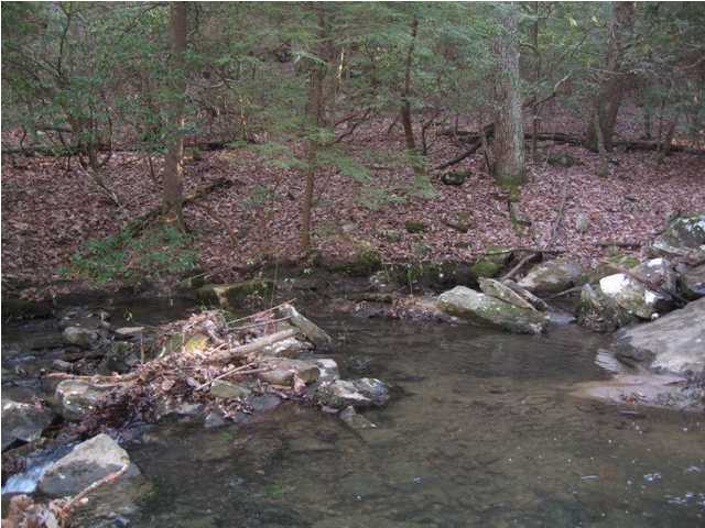 0 Corral Road, Unit LOT 1 Signal Mountain, TN 37377 - Photo 8 of 9 Additional Photo