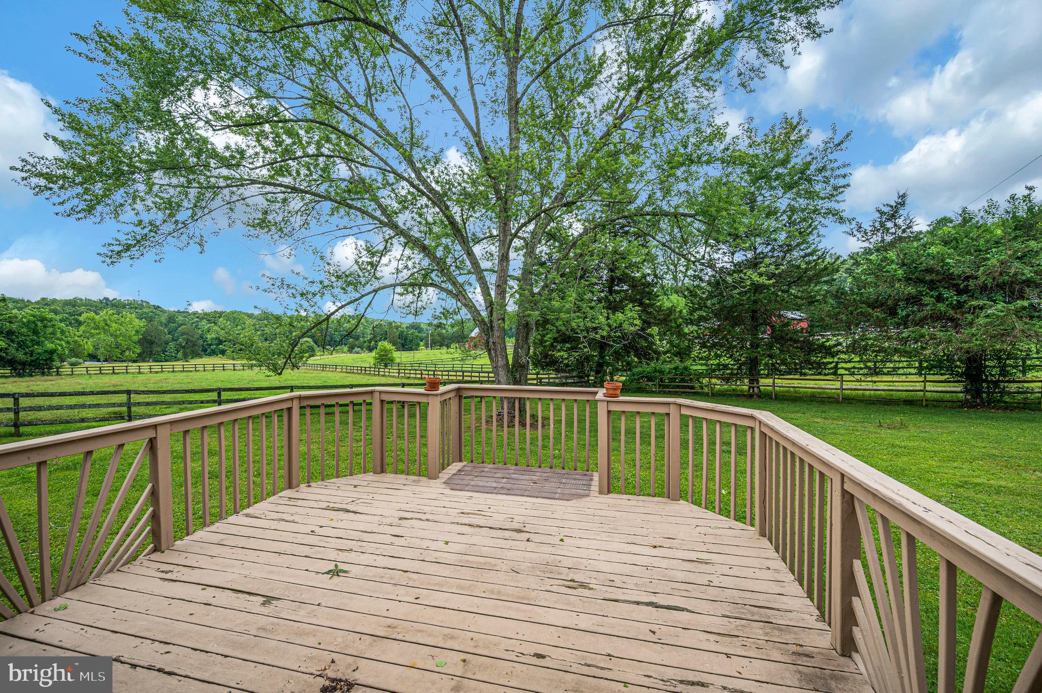 6317 Louisianna Road Locust Grove, VA 22508 - Photo 32 of 57 Deck extends beyond covered area for enjoyment.