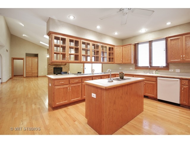 3N901 Francis Road Maple Park, IL 60151 - Photo 4 of 25