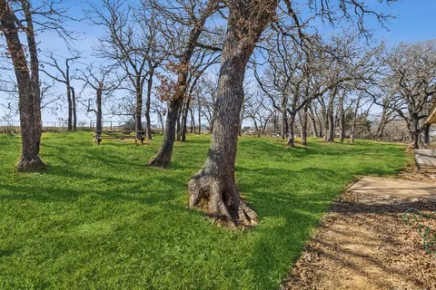 a view of a backyard with large trees