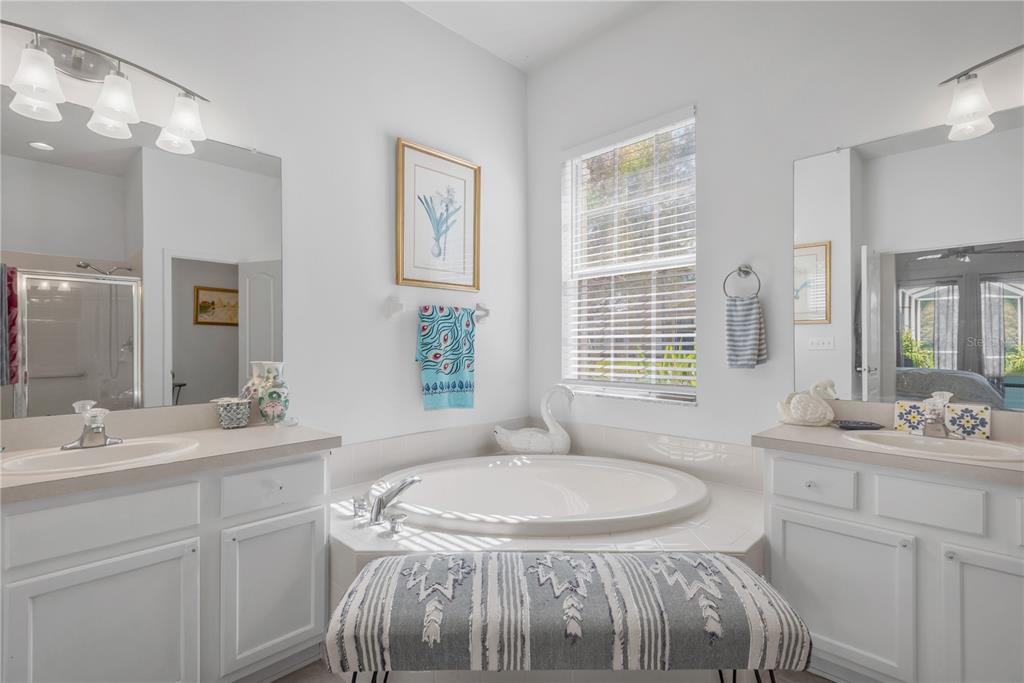 19015 Fern Meadow Loop Lutz, FL 33558 - Photo 24 of 50 a bathroom with a sink and a mirror