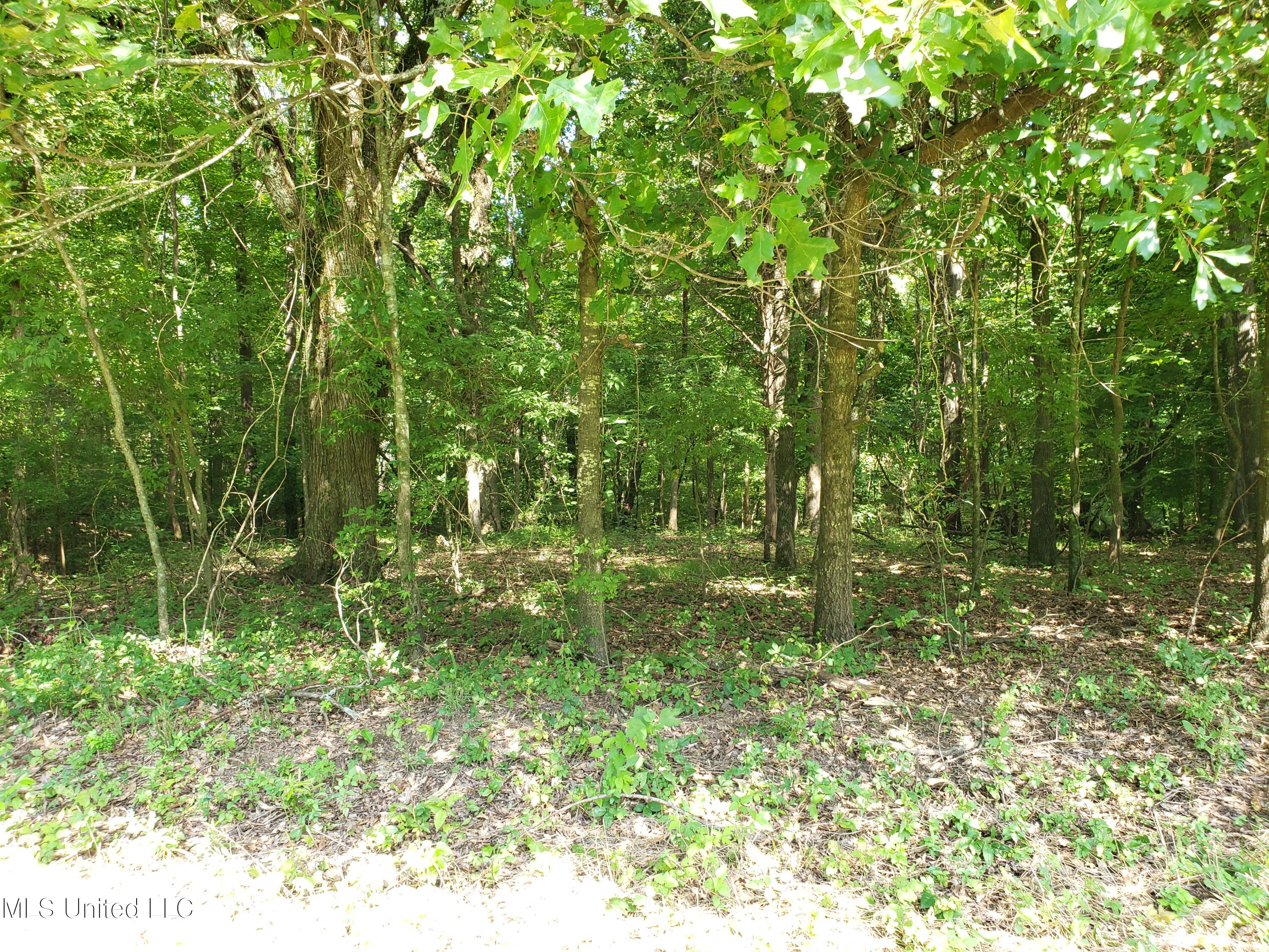 Land Fill Road Crenshaw, MS 38621 - Photo 19 of 36 20220803_160349